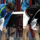 니코이즈 이미지