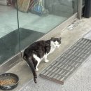 편지무인모텔 | 나홀로 군산