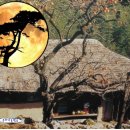 달아달아밝은달아 이미지