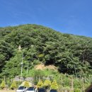 풀내음쉼터 이미지