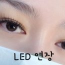 원뷰티 - 유성구 | 원뷰티