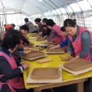 생활 도자기 이미지