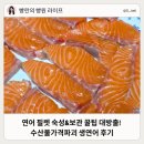 연어 필렛 숙성 보관 방법 수산물가격파괴 생연어