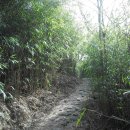 토지주유소 이미지