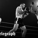 GOOD BOXING 이미지