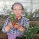 다사농장 이미지