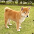 경남종합상가 이미지