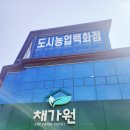 현진1농장 네이버블로그
