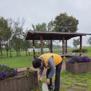 지산체육공원 Daum카페