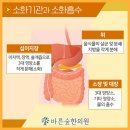 숲속한의원 이미지