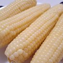 소금&설탕 이미지