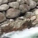 소백산계곡펜션민박 이미지