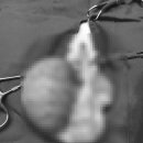 유니동물병원 이미지