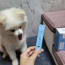 이지메디 이미지