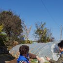 눌왕마을회관 이미지