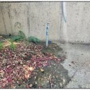 세가래로 이미지