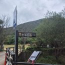 드림한우농장 | 여수 돌산 동물 먹이 체험 아이랑 가볼만한 곳 내돈내산 한우드림 솔직후기