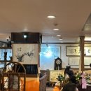 미도 | [대구] 현지인만 아는 동성로 쌍화차 맛집, “미도다방” 내돈내산 솔직후기