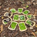 농업생명과학대학3관 | 서울대학교 수원수목원 가을 품은 백년숲 탐방 후기!