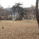 탈해왕릉 이미지