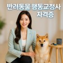 에이비씨(ABC)동물병원 | 반려동물 행동교정사 자격증 취득 과정 완벽 가이드 2025