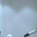 카멜리몽 이미지