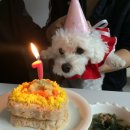 봉식농장 이미지