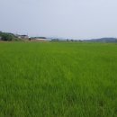 여주-0909 네이버블로그