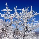 돌산악회 130차 정기산행 ~전남광주 무등산~ 이미지