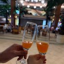 성암빌딩&스파랜드 | [태국여행] 빠통비치 근처의 가성비 숙소 추천 :: 푸켓 그레이스랜드 리조트 앤 스파