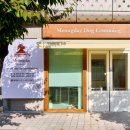 멍데이(meongday) 이미지