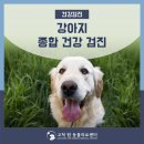 고척 원 동물의료센터 이미지