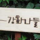 갯벌보러가는길 Daum카페