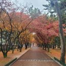 오늘의 경주 네이버블로그