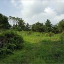 색달동-2 이미지