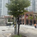 갈매아이파크상가앞 버스승강장 | [경기도/구리] 별내 태닝 맛집 몰디브태닝 별내갈매점 방문 후기