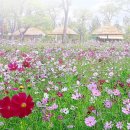 돌산공원 관광안내소 이미지