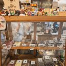 나비공간 이미지