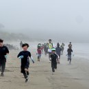 비금동초등학교 더코리아