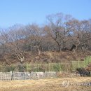 용인종합정비 이미지