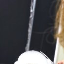 강실장펫살롱 네이버블로그