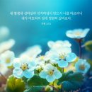헤세드(HESED)