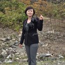 내장산에서 이쁘게 Pose 부탁드려요 이미지