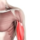 용인우리정형외과의원 이미지