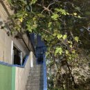 여행자게스트하우스 | [여행자게스트하우스] 제주공항 근처 1인 게스트하우스 추천