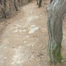 금강산성 이미지