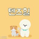 텐즈힐 애견미용 이미지
