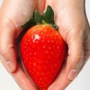 팜팜스토어 이미지