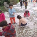 홍익늘푸른어린이집 이미지