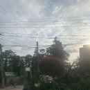 제주 / 서쪽 바베큐 가능 해리앤소담 후기:) 애월애견동반펜션